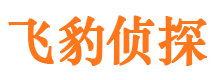 任县市婚姻出轨调查